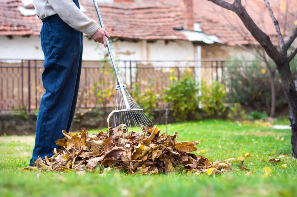 Yard Clean-Up