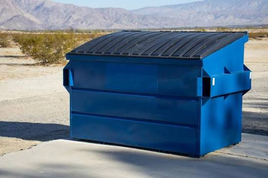 Dumpster Rental and Waste Cleanup