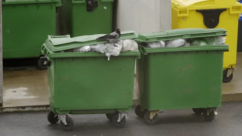  junk removal in Long Island